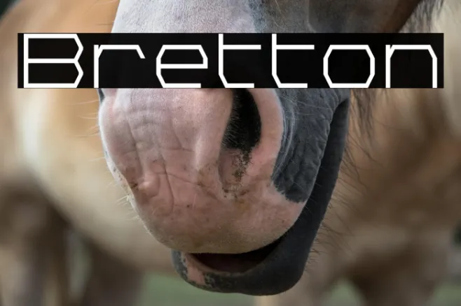 Bretton Example 1