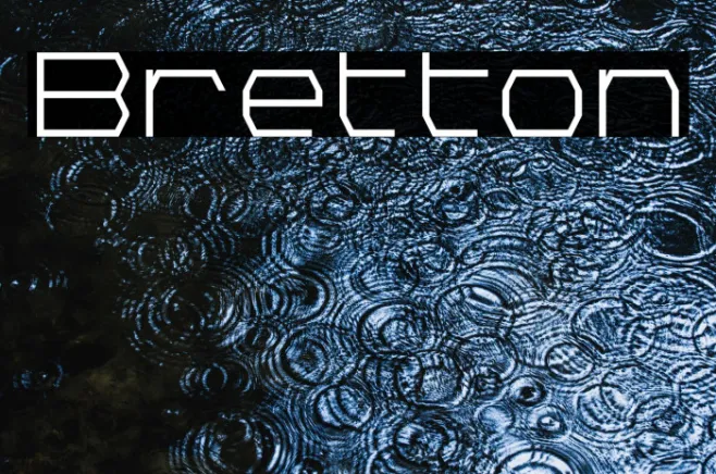 Bretton Example 3