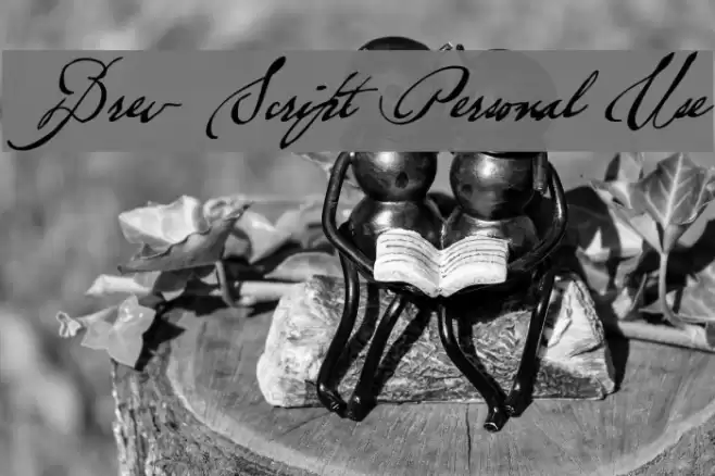 Brev Script Personal Use Font examples