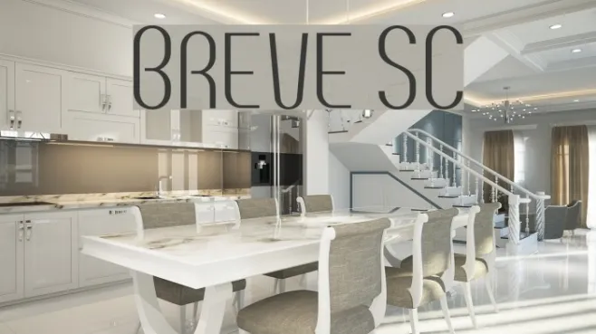 Breve SC Example 2