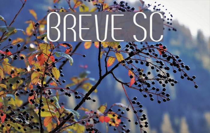 Breve SC Font examples