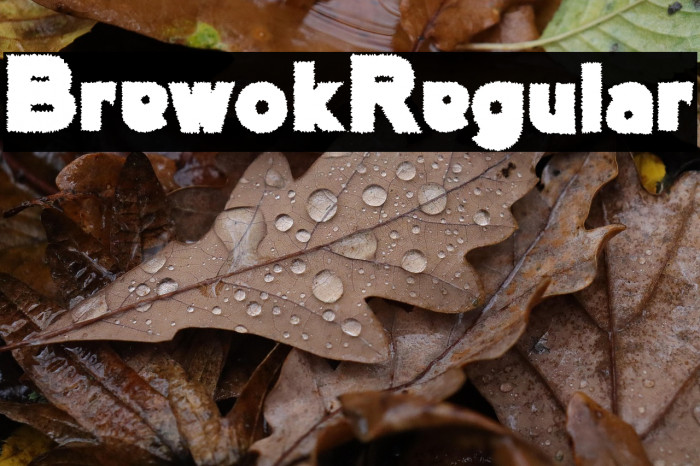 BrewokRegular Example 2