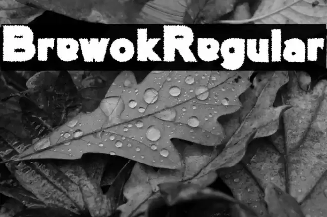 BrewokRegular Font examples