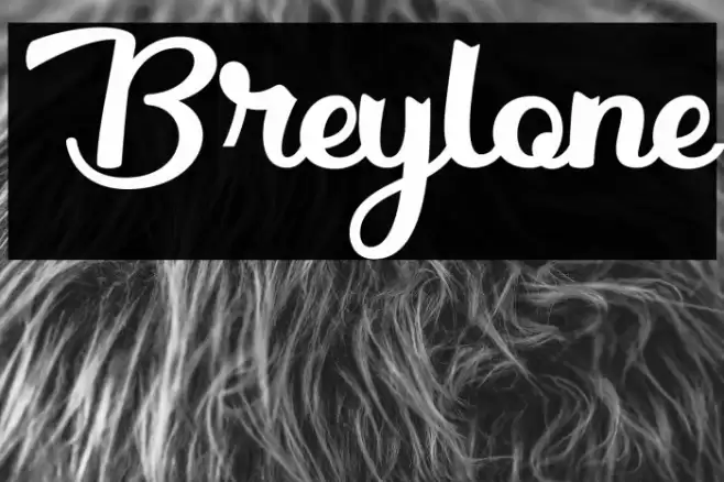 Breylone Font examples