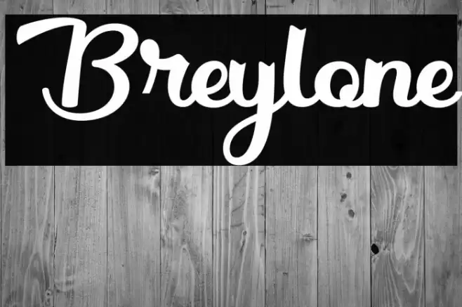 Breylone Font examples