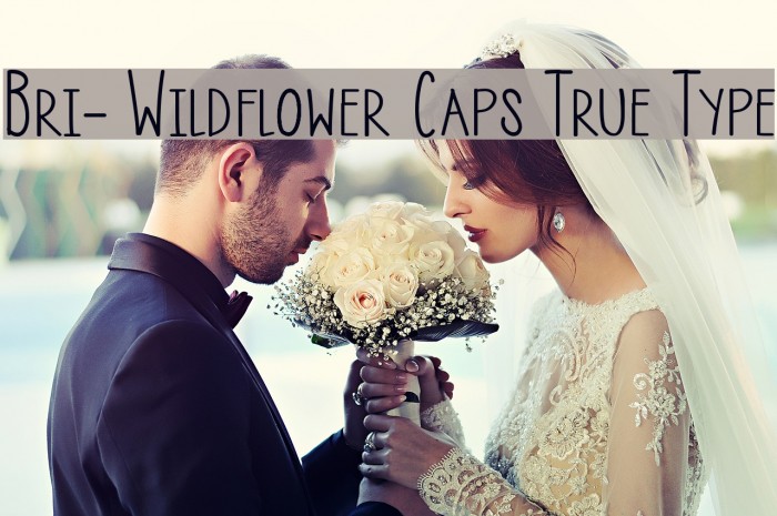 Bri- Wildflower Caps True Type Font examples