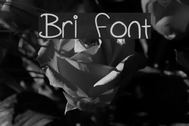 Bri Font examples