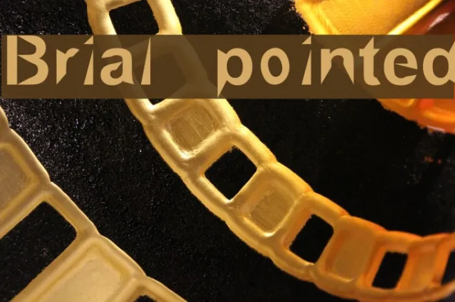 Brial   pointed Example 1