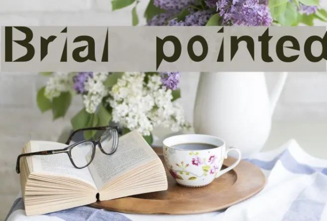 Brial   pointed Example 3