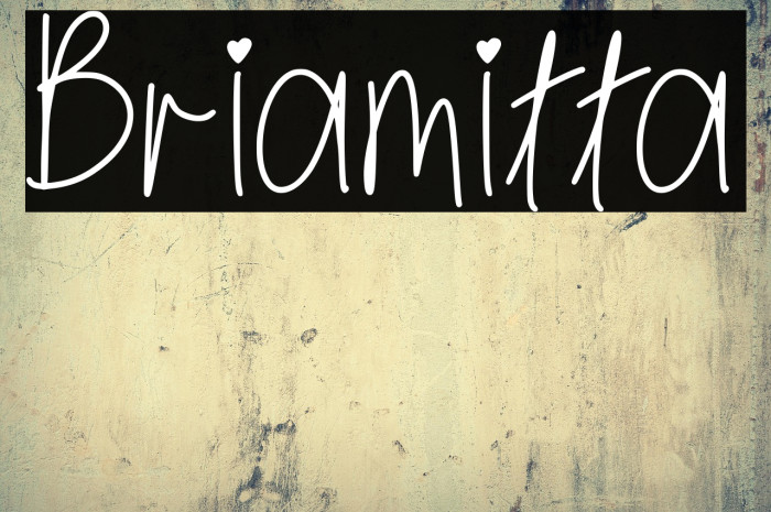 Briamitta Example 1