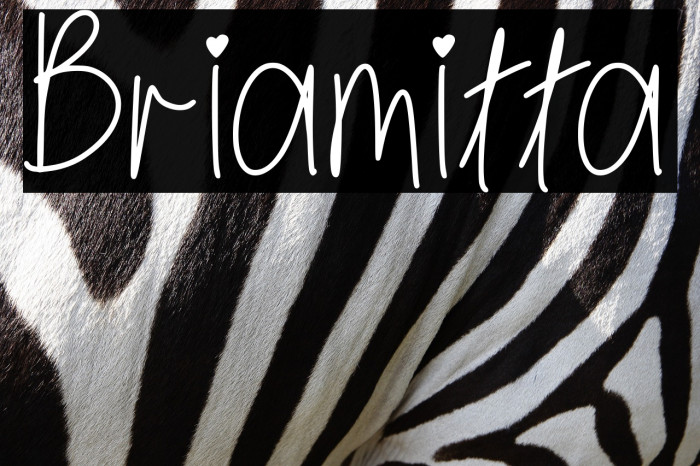 Briamitta Example 2