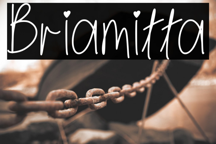 Briamitta Example 3