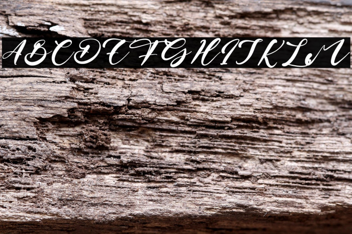 Brian Conor Example 3