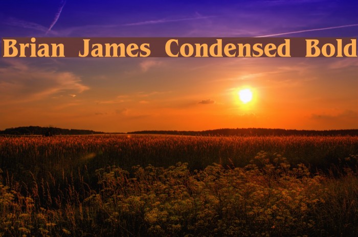 Brian James Condensed Bold Font examples