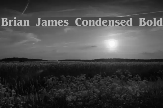 Brian James Condensed Bold フォント examples