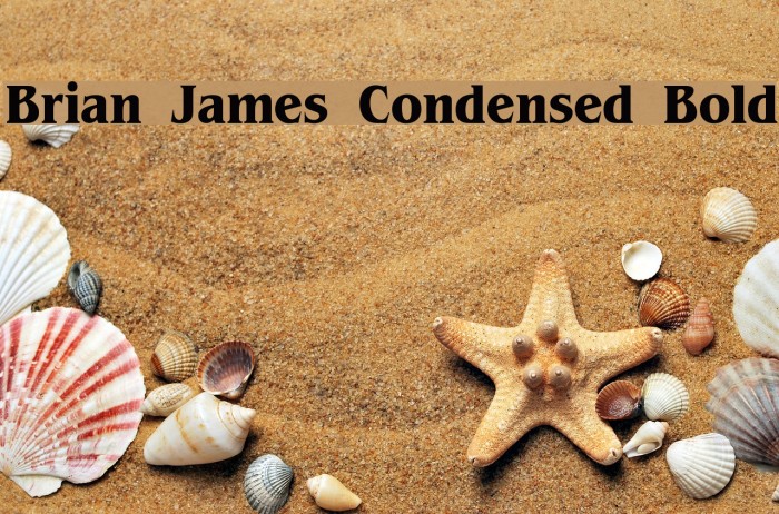 Brian James Condensed Bold Font examples