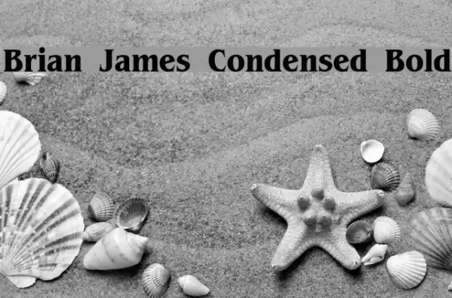 Brian James Condensed Bold フォント examples