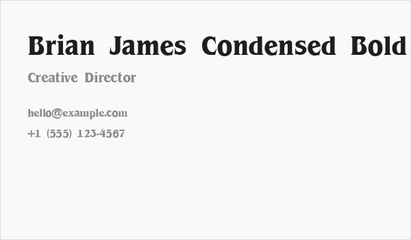 Brian James Condensed Bold Business Card