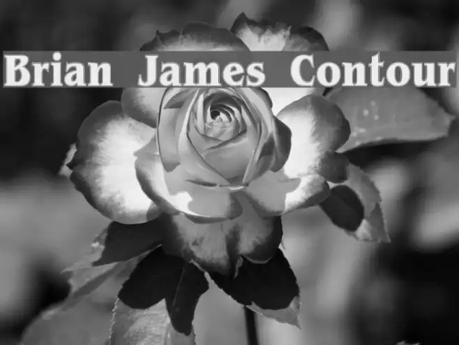 Brian James Contour Fonte examples