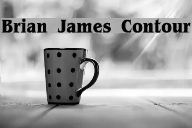 Brian James Contour Fonte examples