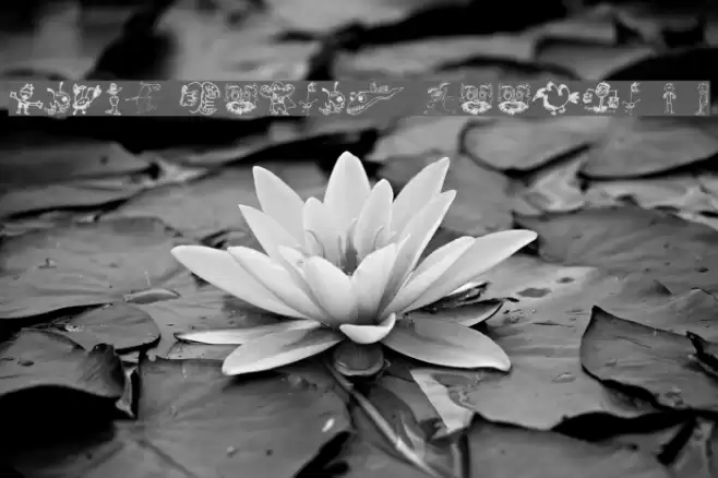 Brian Powers Doodle 2 1 Font examples