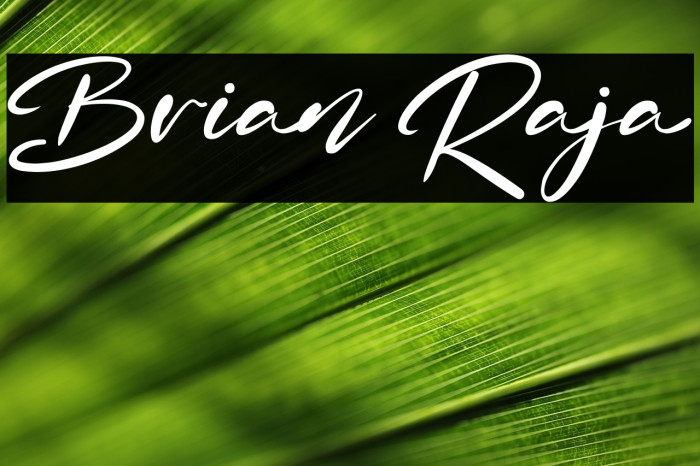 Brian Raja Example 1