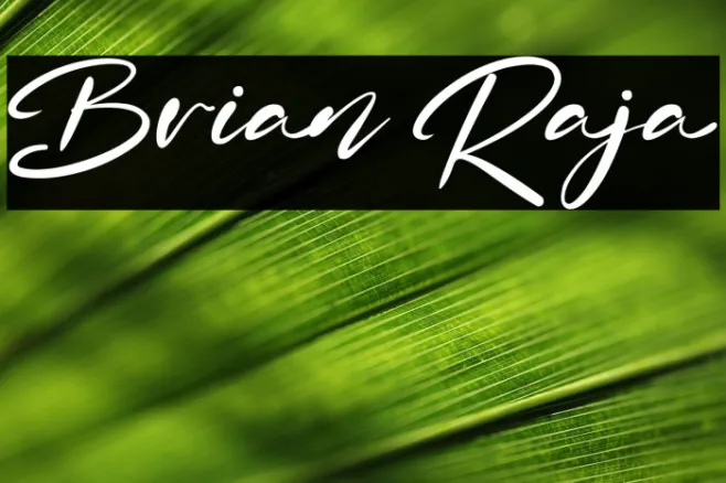 Brian Raja Example 1