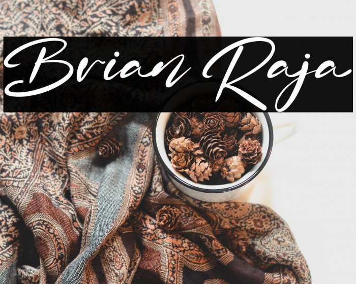 Brian Raja Example 2