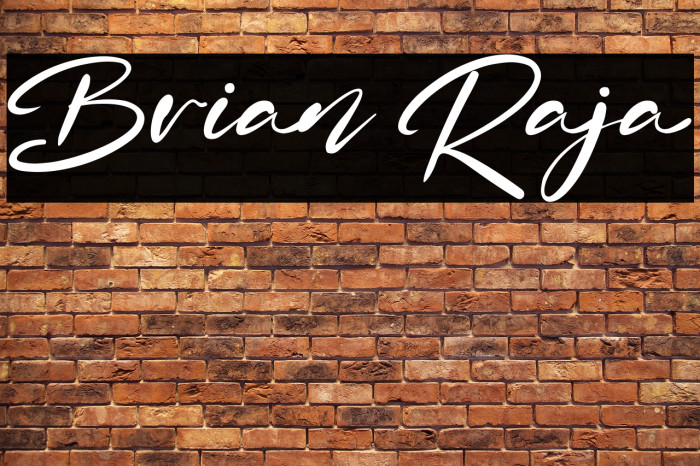 Brian Raja Example 3