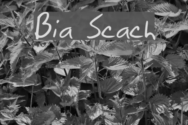 Brian Scratch Font examples