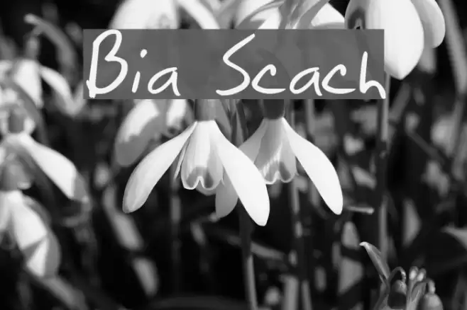 Brian Scratch Font examples