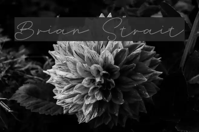 Brian Strait Font examples