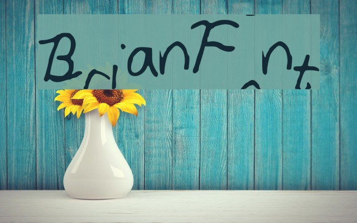 BrianFont Font examples