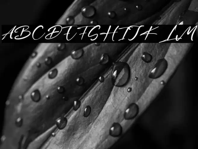 BrianRaja Font examples