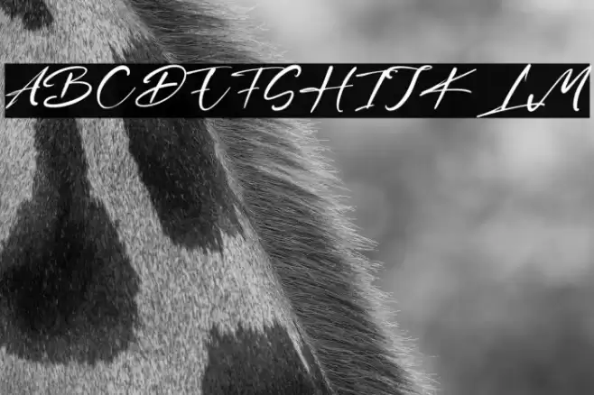 BrianRaja Font examples