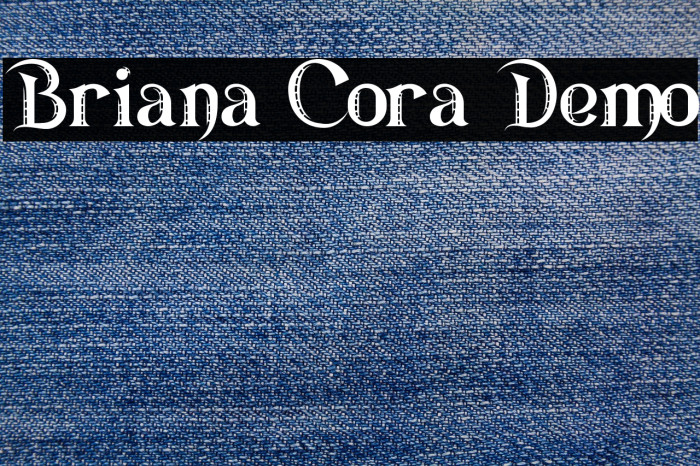 Briana Cora Demo Example 2