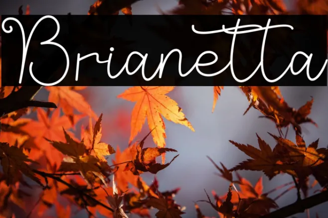Brianetta Example 1