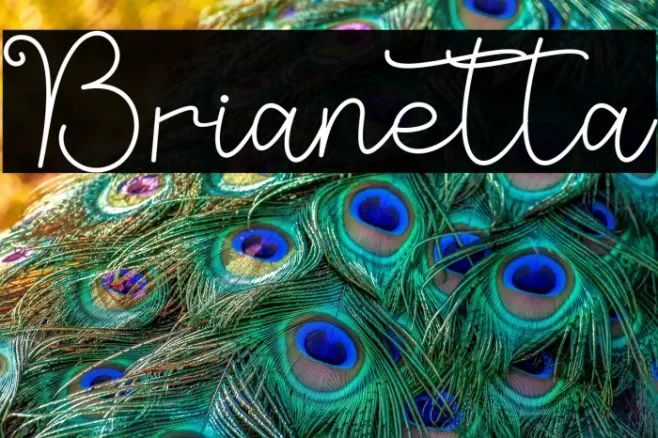 Brianetta Example 3