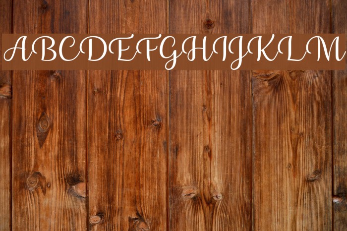 Briany Font examples
