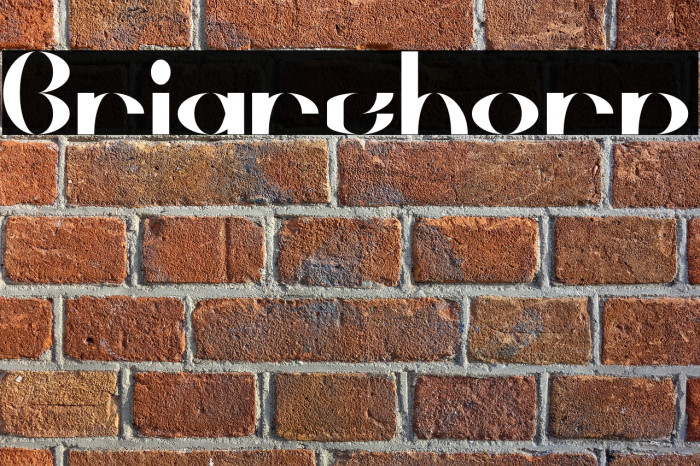 Briarthorn Example 2