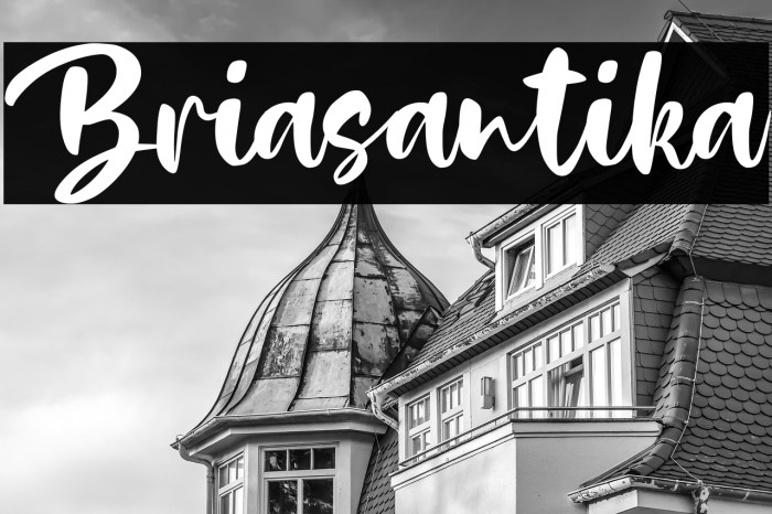 Briasantika Example 1