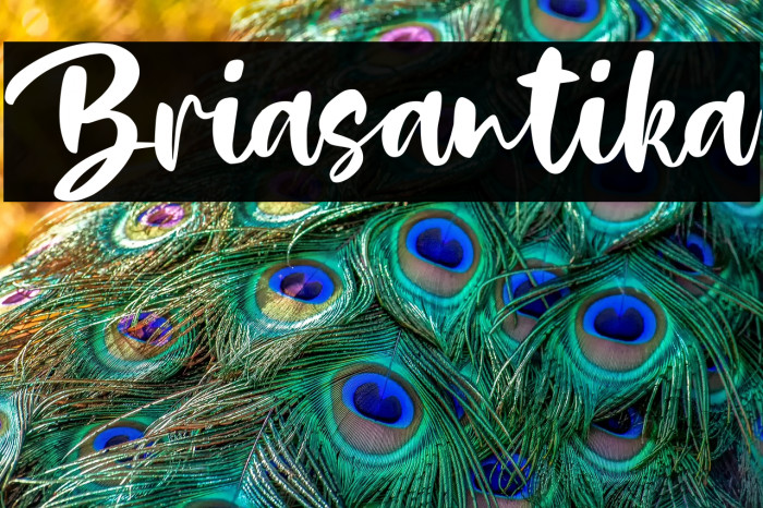 Briasantika Example 2