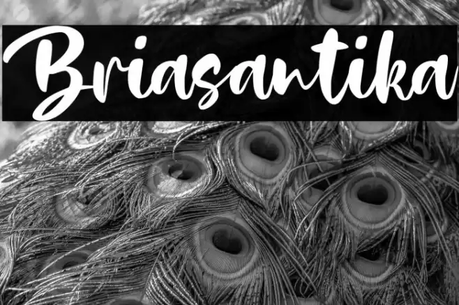 Briasantika Font examples