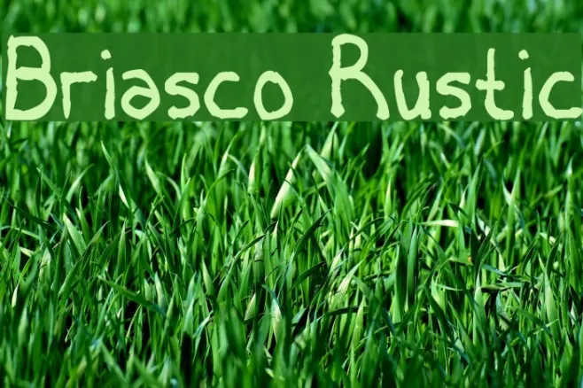 Briasco Rustic Example 3