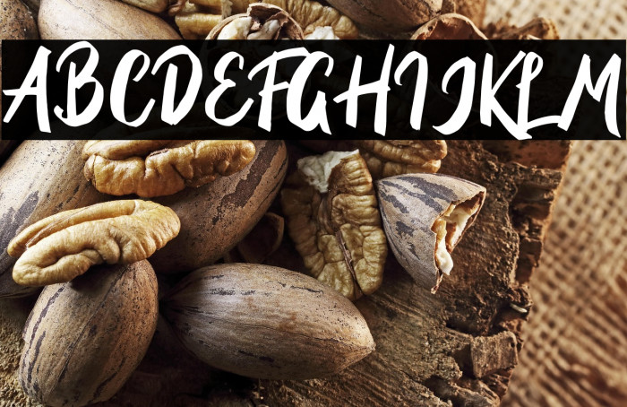 BriberraDEMO Example 1