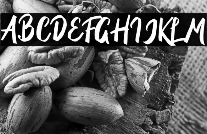 BriberraDEMO Font examples