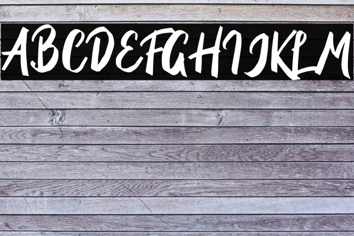 BriberraDEMO Example 2