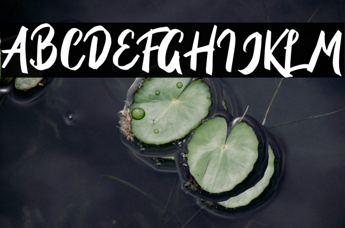 BriberraDEMO Example 3