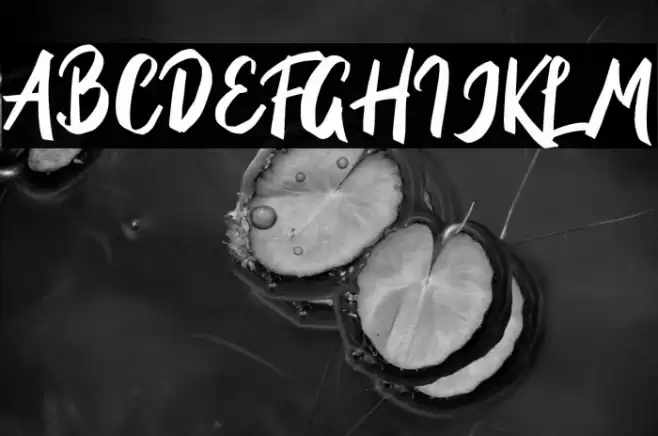 BriberraDEMO Font examples