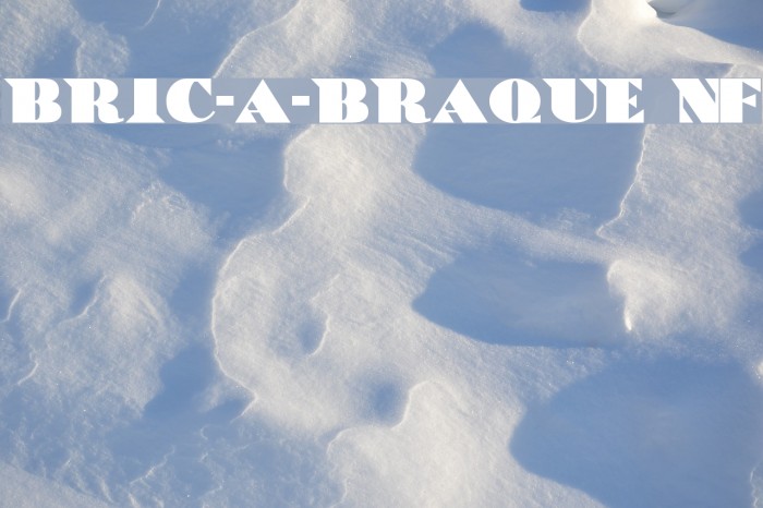 Bric-a-Braque NF Fonte examples
